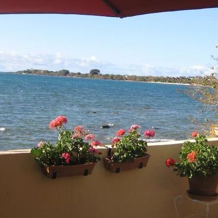 Le Cactus Guesthouse Terre Rouge  Bagian luar foto