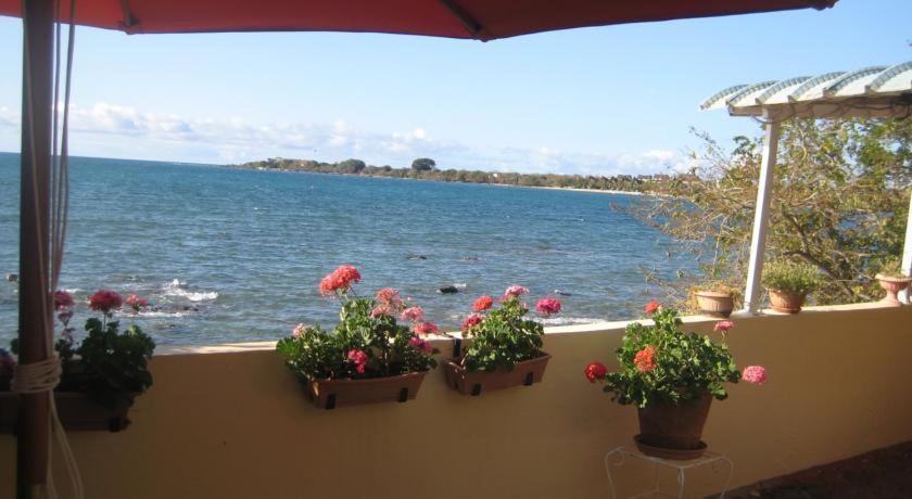 Le Cactus Guesthouse Terre Rouge  Bagian luar foto